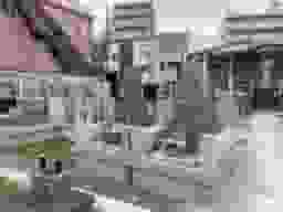 遍照院