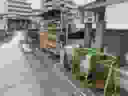 遍照院
