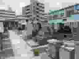 遍照院