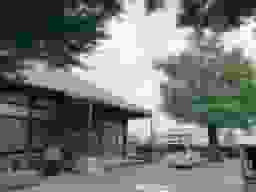 ぎんなん霊苑
