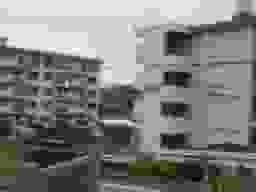 向山墓地