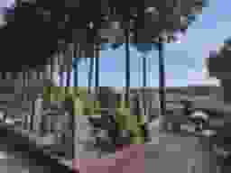 真鶴墓苑