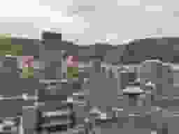 真宗寺墓地