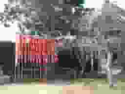 実相院墓苑