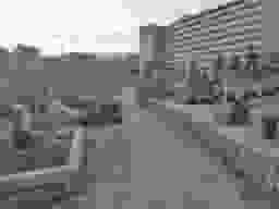 段上墓地（貝之介墓地）
