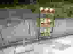 城西墓苑