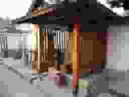 善想寺 永代供養塔