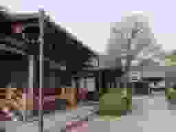 善想寺墓地