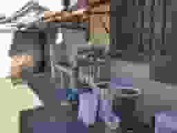 妙蓮寺