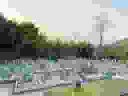 木見霊園