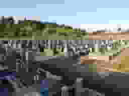 メモリアルパーク東金
