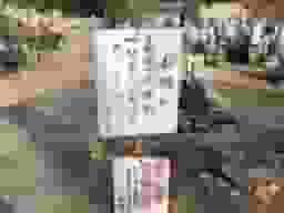 西墓地