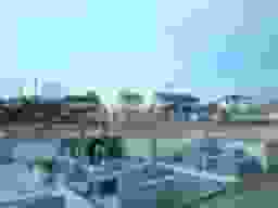 安中共同墓地