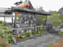隨心院
