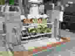 メモリアルサンステージ