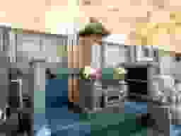 泊舩寺 樹木葬