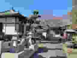 橘墓苑