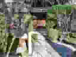 本満寺