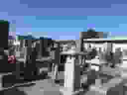 善栄寺