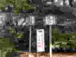 青蓮院