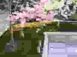 月眞院
