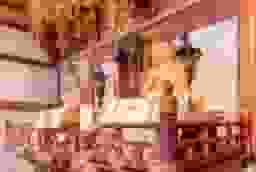妙楽院