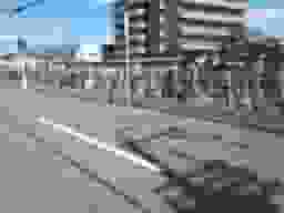 牛立墓地