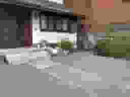 即応寺境内墓地