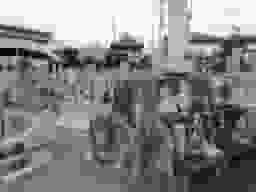 坪井墓地