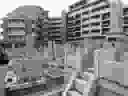 坪井墓地