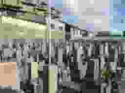 出戸共同墓地
