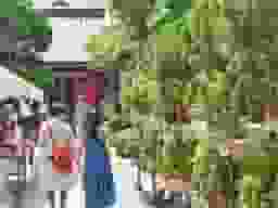 源覚寺墓苑
