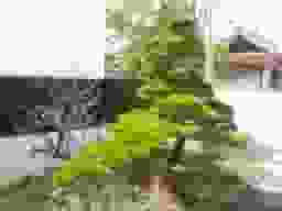 梅松山墓苑