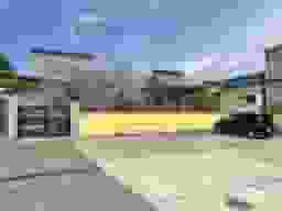 わすれなぐさ