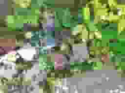 1名または2名でご利用いただける【華】区画