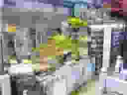真照寺