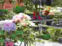 宝蔵院墓苑