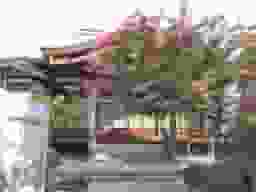 南松寺