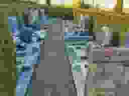 エンゼルパーク