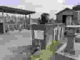 神出南墓地
