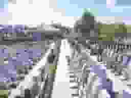 青葉浄苑　区画整理された墓域