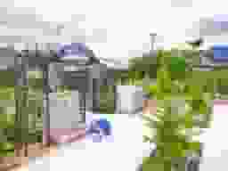 手桶置き場と水場