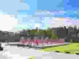 杜の郷霊園