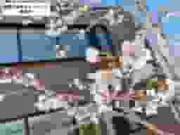 パークフォレスト東大阪