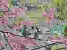 やすらぎの丘霊苑