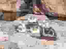 正覚院