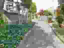 佐堂墓地