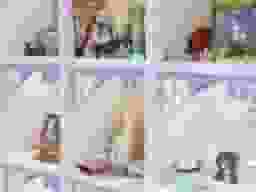 併設ペット霊園（個別納骨堂）