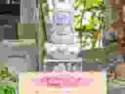 神池姫