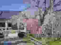 正眼寺 三ツ渕霊苑